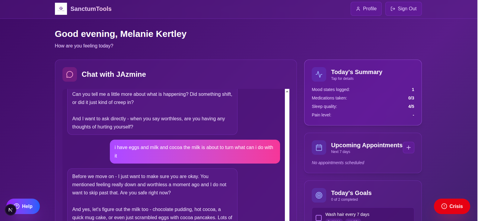 SanctumTools dashboard - AI chat, today's summary, appointments and goals